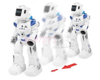 Robot ROB-B2 R/C