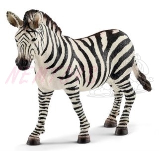 Schleich 14810 Zebra - samice